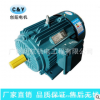 廠(chǎng)家直銷(xiāo) 7.5KW 380V 4級(jí) 三相異步電機(jī) YE2160M1-4 水泵電機(jī)