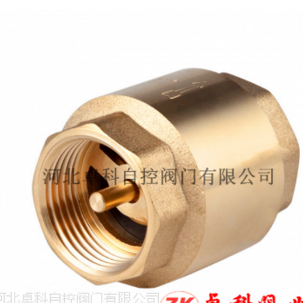 黃銅立式止回閥 內(nèi)螺紋彈簧止回閥 銅芯逆止閥 量大從優(yōu)河北 卓科 直銷(xiāo)