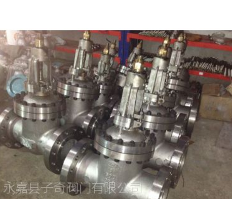 供應(yīng)各種不銹鋼閥門