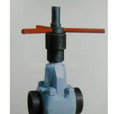 供應(yīng)榮成市榮利閥門有限公司泥漿閥