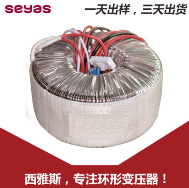 1500W 自耦環(huán)形變壓器 全銅線足功率電源變壓器