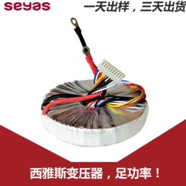 廠家直銷 電源變壓器 1000VA 環(huán)形變壓器 可定制