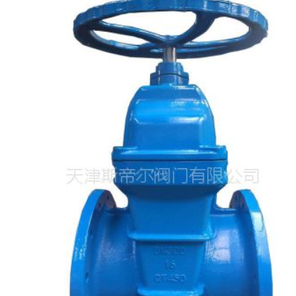 Z45X-16軟密封閘閥 暗桿彈性座封閘閥 球墨鑄鐵 廠家直銷 天津斯帝爾