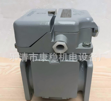 QJ-25全密封式氣體繼電器瓦斯繼電器QJ-25TH變壓器配件