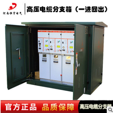 恒宇電氣 現(xiàn)貨特賣10KV電纜分支箱 DFW-12戶外高壓電纜分線箱