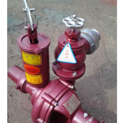 供應東阿縣龍泉水泵廠天龍泉牌80BP-55噴灌泵