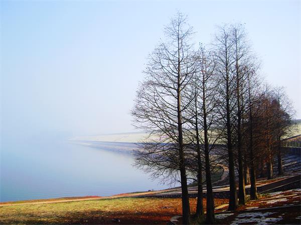 南寧大王灘門票/大王灘風景區(qū)