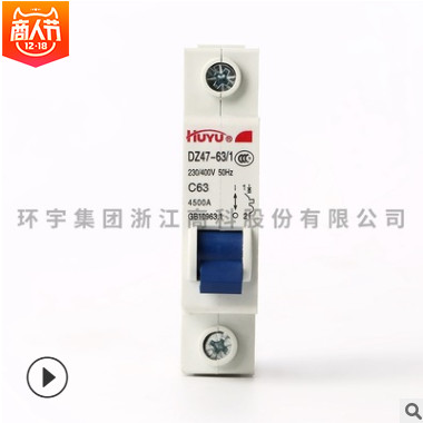 廠(chǎng)家批發(fā)定做家用小型斷電器 漏電保護(hù)空氣開(kāi)關(guān) 微型空開(kāi)斷路器