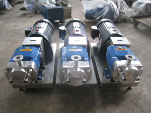 泊頭市猛通泵業(yè)/316不銹鋼凸輪轉(zhuǎn)子泵