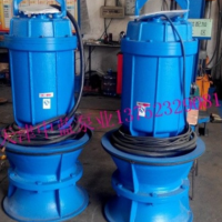 雨水提升軸流泵現(xiàn)貨