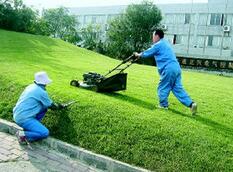 天津庭院綠化養(yǎng)護(hù)公司-河南暢新物業(yè)