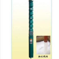 wq潛水泵，石家莊潛水泵價(jià)格