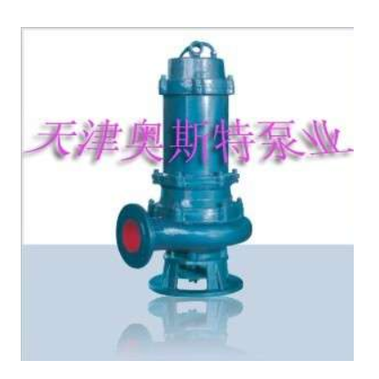 天津潛水排污泵