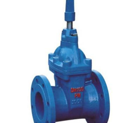 RVCX傳動帽彈性座軟密封閘閥、地下閘閥Z45X-16Q