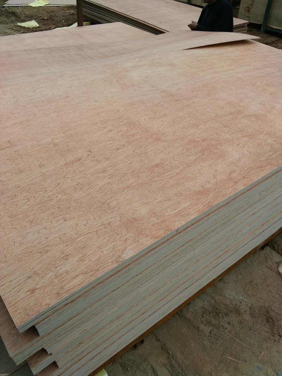 臨沂澤運/澤運板材