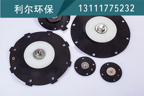脈沖閥膜片報(bào)價(jià)/利爾環(huán)保