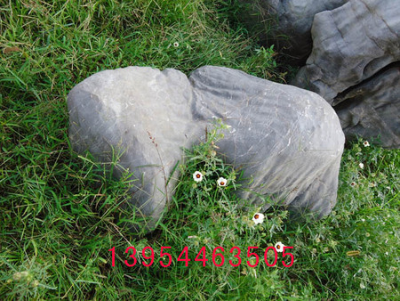 風(fēng)景石/禾鼎園林