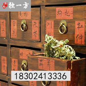 中醫(yī)館服務(wù)項目/濟世譽林