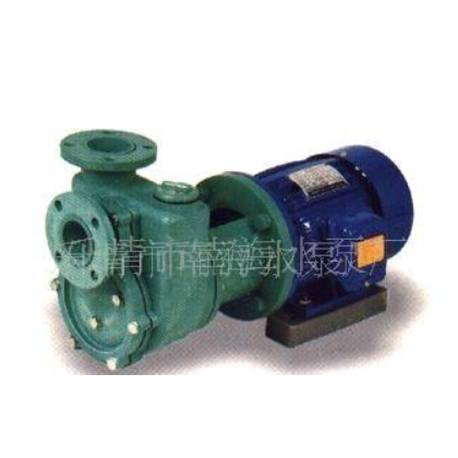 供應(yīng)塑料自吸泵,耐堿泵,海水泵,塑料泵,塑料化工泵 提升泵(圖)