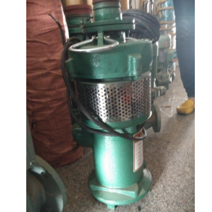 供應(yīng) 油浸式 潛水電泵 循環(huán)水泵 井用潛水泵