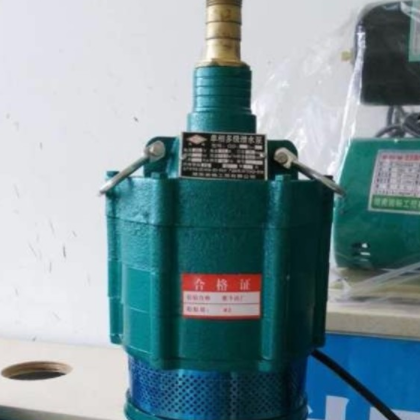 湘暢工貿(mào) 單相多級(jí)潛水泵