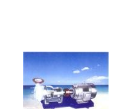 沃曼、WFB型無密封自控吸泵