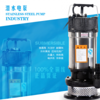 大明不銹鋼QDX潛水電泵 防腐蝕潛水泵 園林抽水機(jī) 農(nóng)用灌溉清水泵