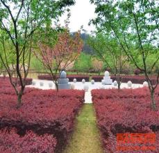 八疊山生命公園墓地價格-武漢殯葬公共平臺