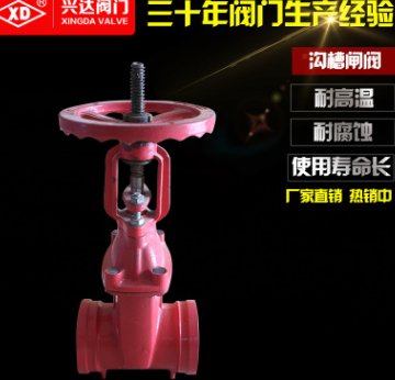 興達(dá)閥門批發(fā)軟密封型溝槽式卡箍閘閥RRGX明桿不銹鋼閥門Z81X-16Q