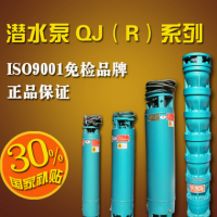 廠家直銷guansheng關(guān)圣潛水泵200QJ