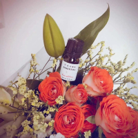 BIKUMA加盟/沈陽碧沅雅科技