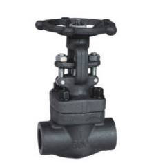 安徽閥門 Z11H-16C鋼制內螺紋楔式閘閥 安徽富日閥門