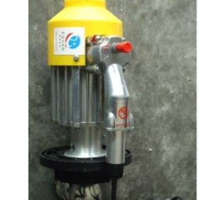 防爆電動(dòng)抽油泵