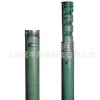 供應(yīng)200QJ80-22/2井用電泵