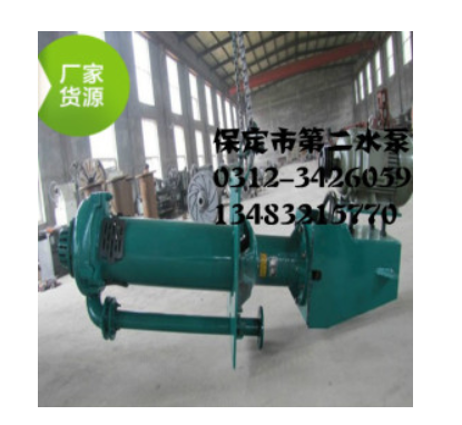 月明河65QV-SP立式液下渣漿泵鋼廠專用