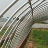 鋼管骨架大棚生產(chǎn)制造商_民泰公司廠家供應(yīng)量大從優(yōu)
