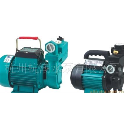 供應(yīng)優(yōu)質(zhì)新界1AWZB125(A)全自動(dòng)冷熱水旋渦自吸電泵