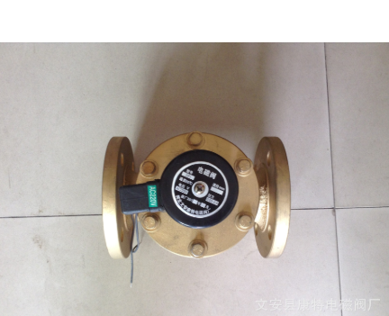 防水電磁閥 水下噴泉電磁閥 大口徑法蘭鑄鐵防水電磁閥 廠家生產(chǎn)