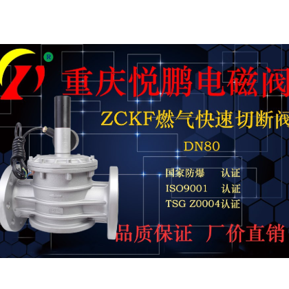 防爆燃?xì)饩o急切斷燃?xì)夥ㄌmDN15-DN300螺紋法蘭廠家直銷正品電磁閥1