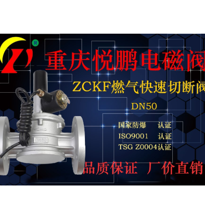 ZCKF電磁閥 燃?xì)怆姶砰y 防爆緊急切斷電磁閥DN50