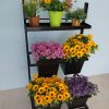 廣東鮮花展示架/青島筆尖創(chuàng)意設(shè)計(jì)