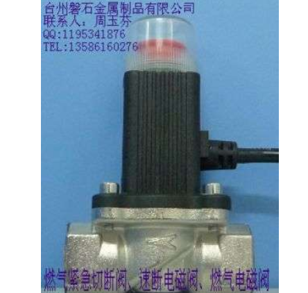 燃?xì)怆姶砰y、燃?xì)馇袛嚅y