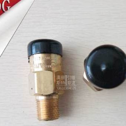 美國rego 3129G安全閥