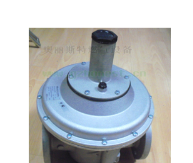 STR80減壓閥 意大利 DN80=80mm意大利朱麗安尼調(diào)