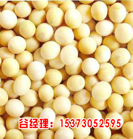 張家口大豆種子批發(fā)-嘉豐種業(yè)