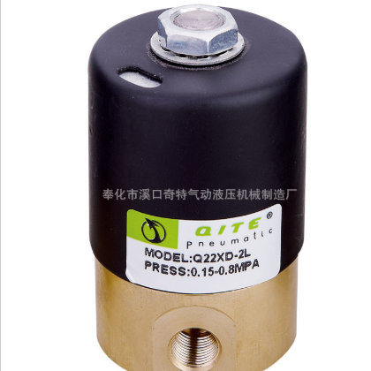 Q22XD-2L3L4L二位二通先導(dǎo)電磁閥 DC12V24V AC220V