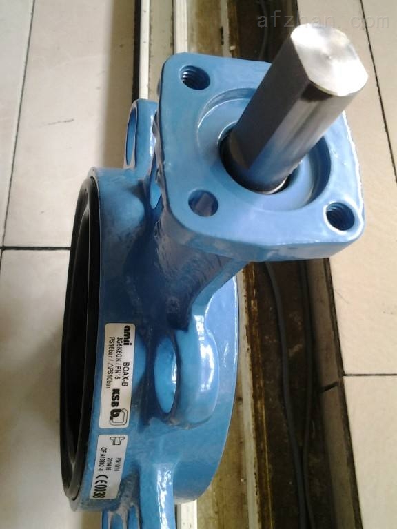 德國凱士比KSB蝶閥3jpg1