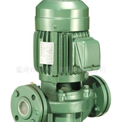 管道泵 臺(tái)灣款管道泵 泵 水泵