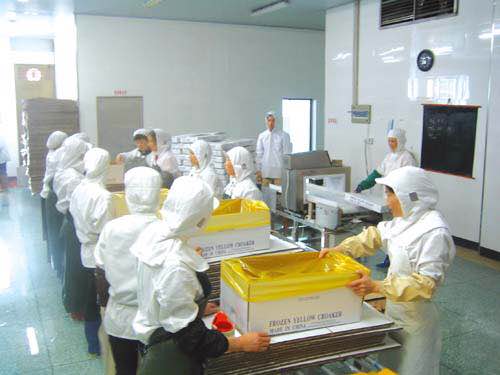 馬來西亞出國(guó)勞務(wù)-速達(dá)-沙特出國(guó)勞務(wù)