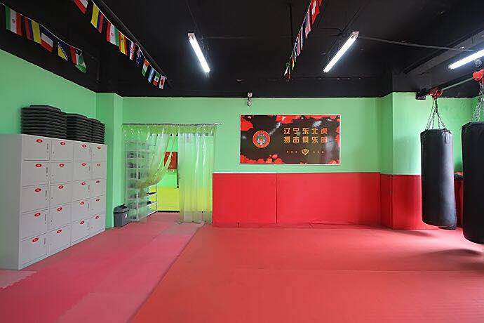 沈陽(yáng)MMA-拳力武道-沈陽(yáng)MMA暑假培訓(xùn)班